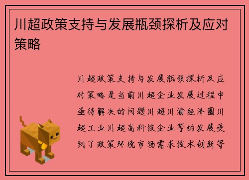 川超政策支持与发展瓶颈探析及应对策略